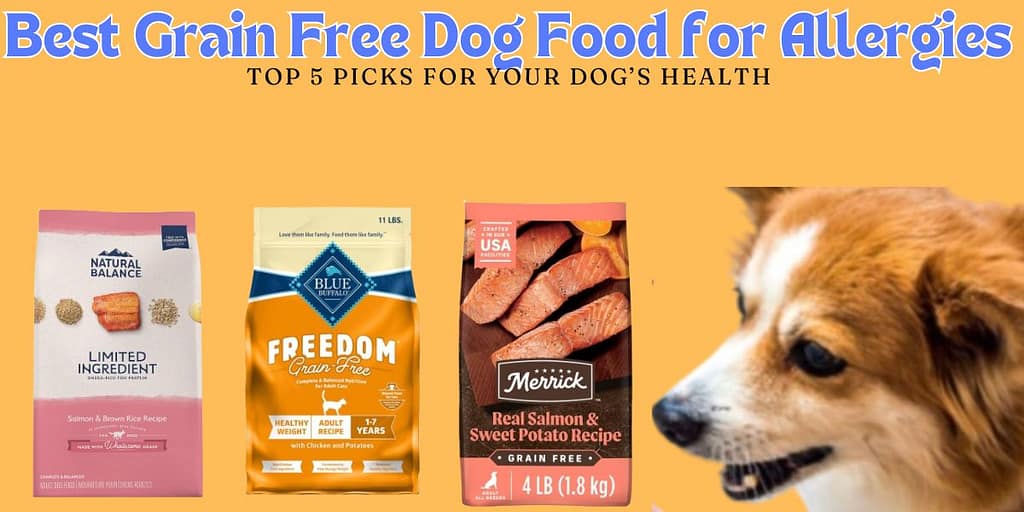 Best Grain Free Dog Food for Allergies