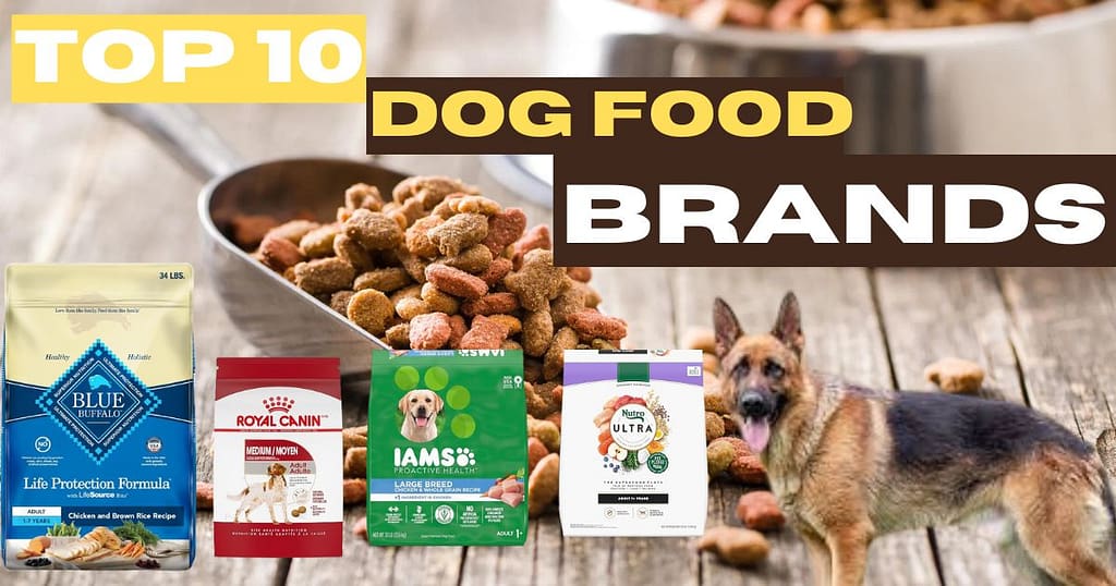 Top 10 Dog Food Brands