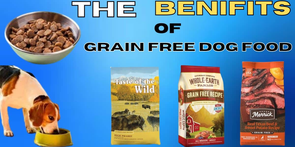 The Benefits of Grain-Free Dog Food