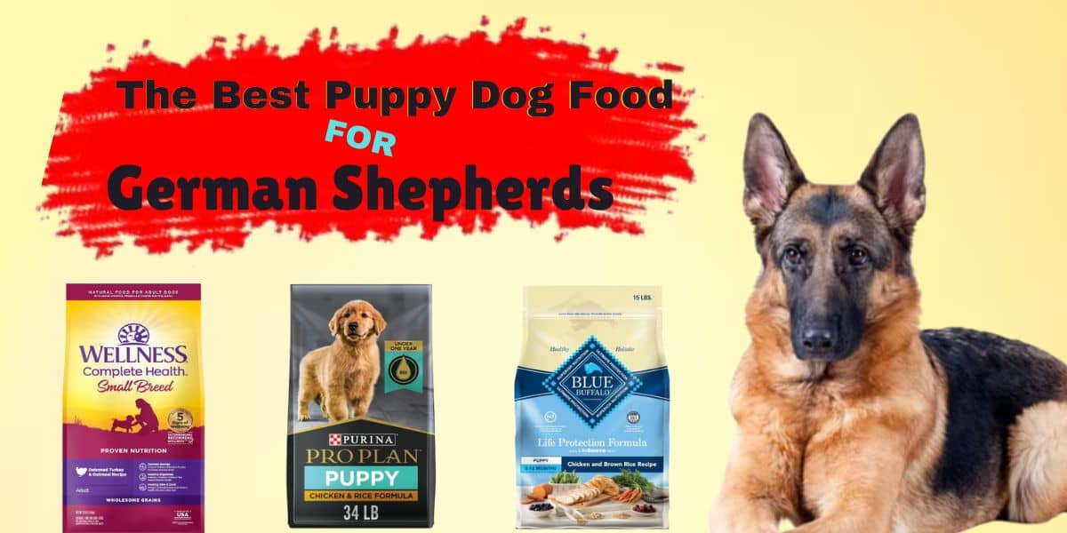 THE BEST PUPPY DOG FOOD