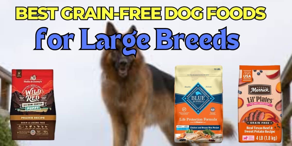 BEST GRAIN FREE DOG FOOD FOR LARGE BREEDS