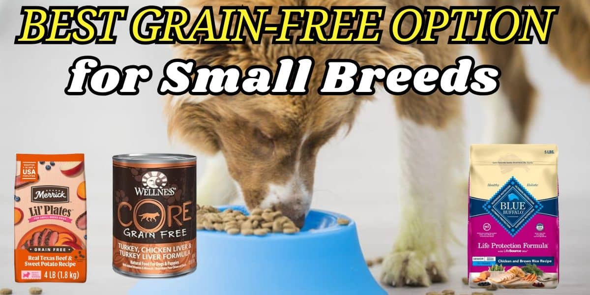Best Grain-Free Option for Small Breeds
