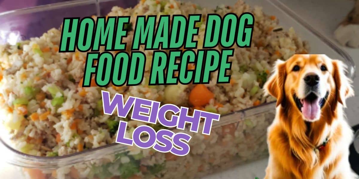 Homemade Dog Food Recipes for Weight Loss