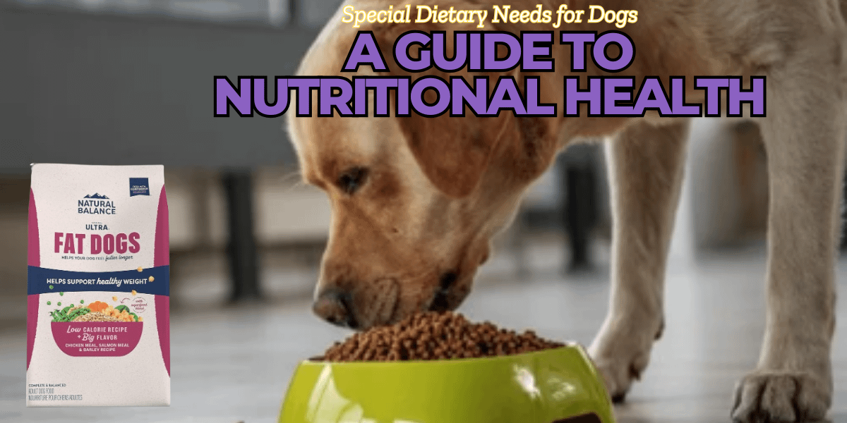 Special Dietary Needs for Dogs