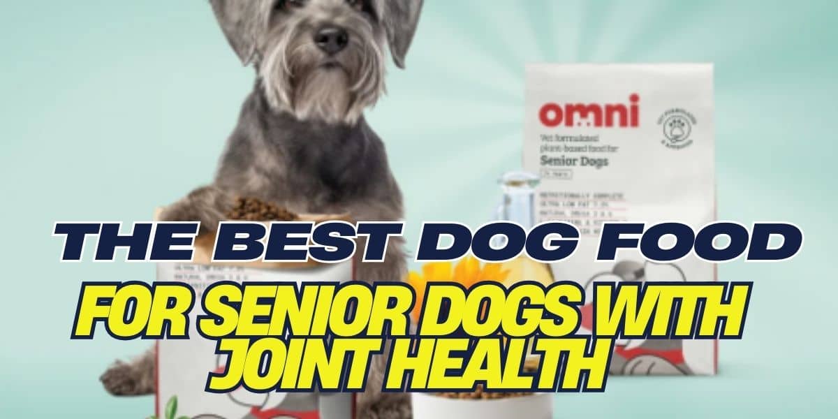 Dog Food for Senior Dogs with Joint Health