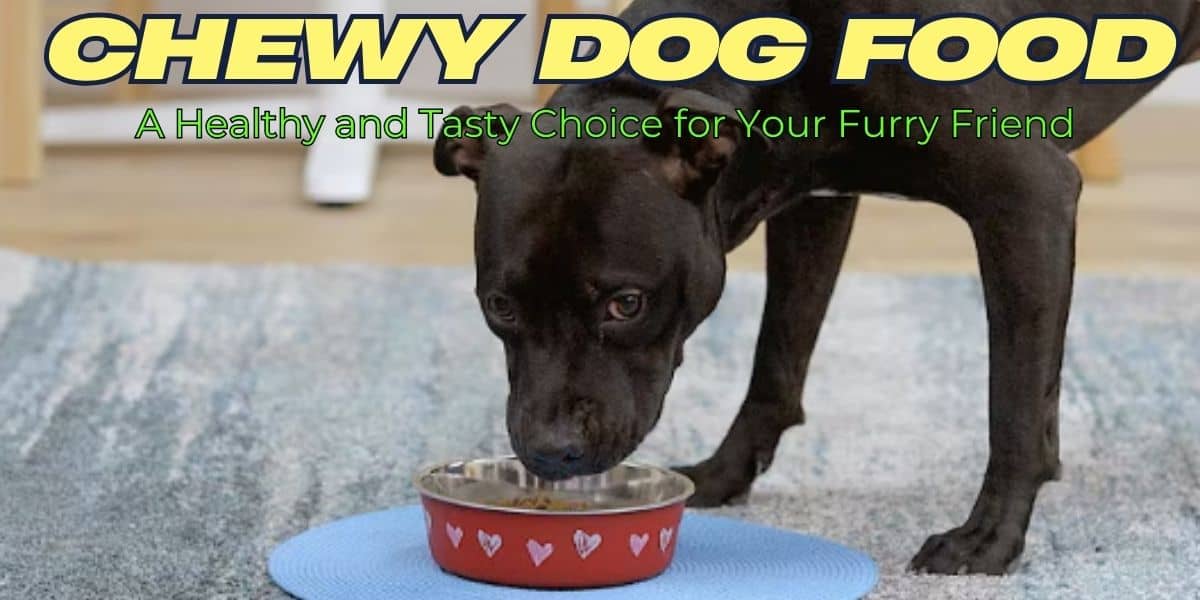 chewy dog food