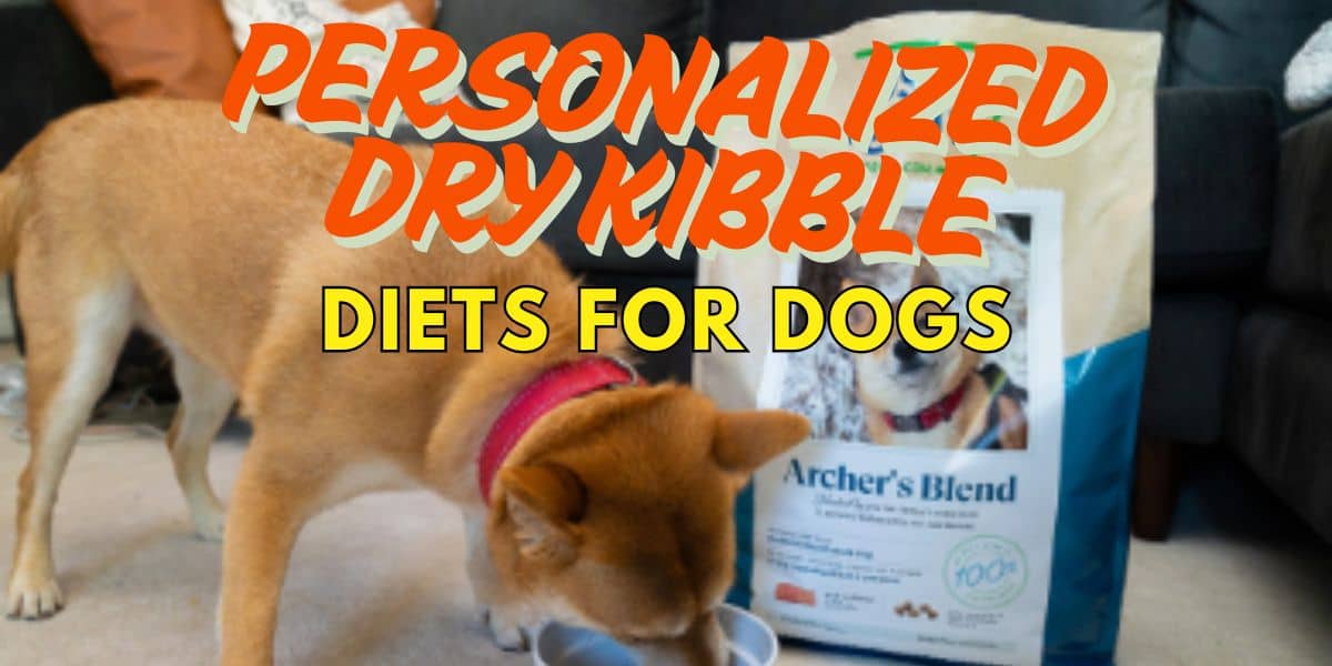 Personalized Dry Kibble Diets for Dogs