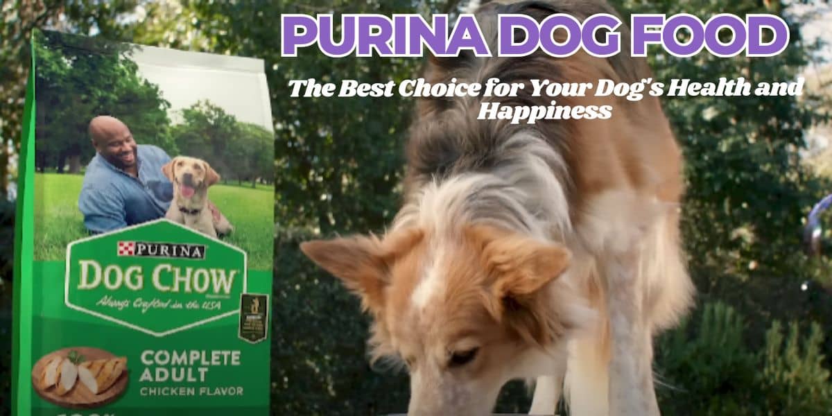 Purina Dog Food