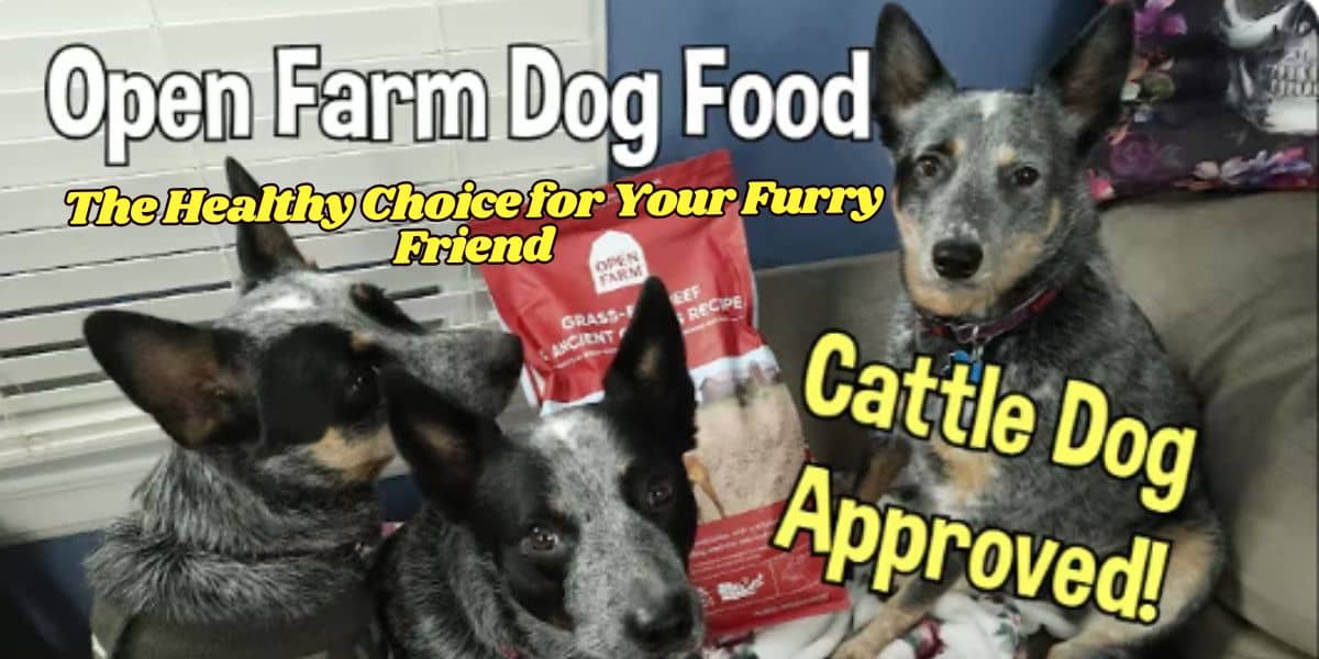 Open Farm Dog Food The Healthy Choice for Your Furry Friend