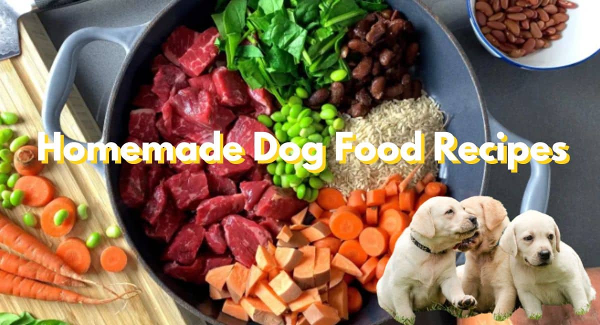 Homemade Dog Food Recipes