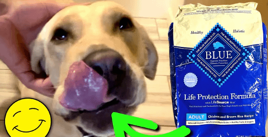 Blue Buffalo Dog Food